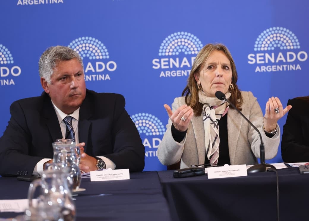 Senado: el oficialismo obtuvo dictamen para el proyecto que modifica el régimen de zonas frías.
