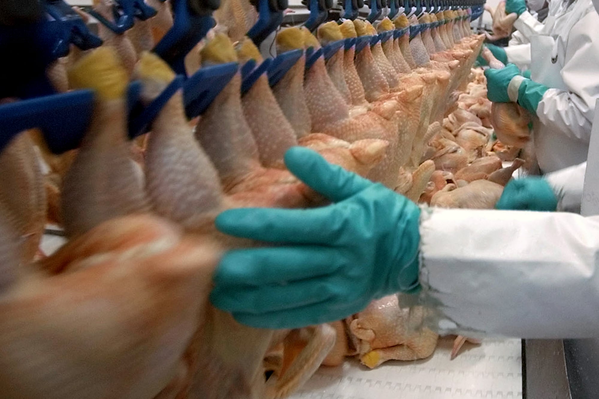 Brasil es el mayor exportador mundial de carne de pollo