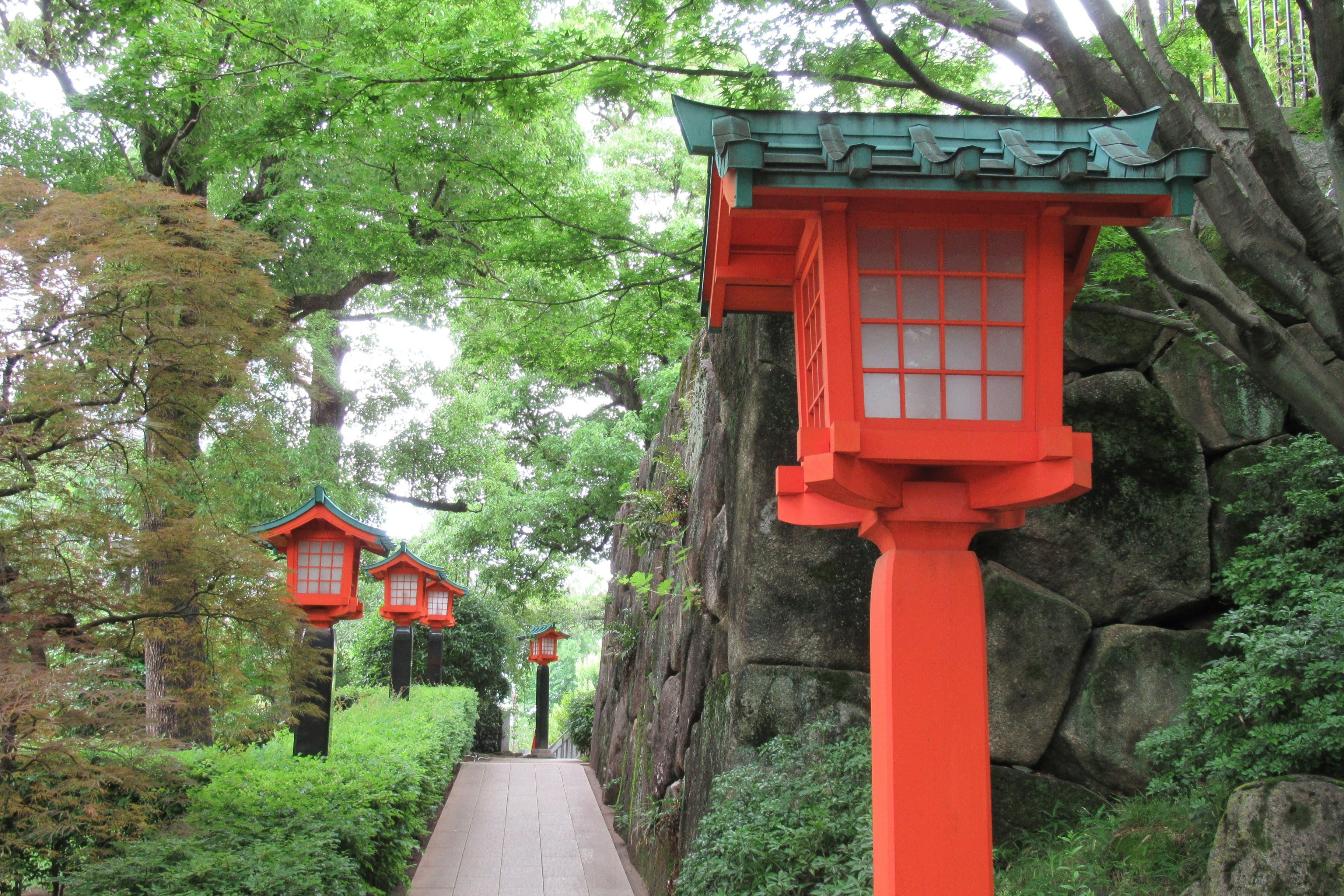 Japón y un mundo nuevo por descubrir.