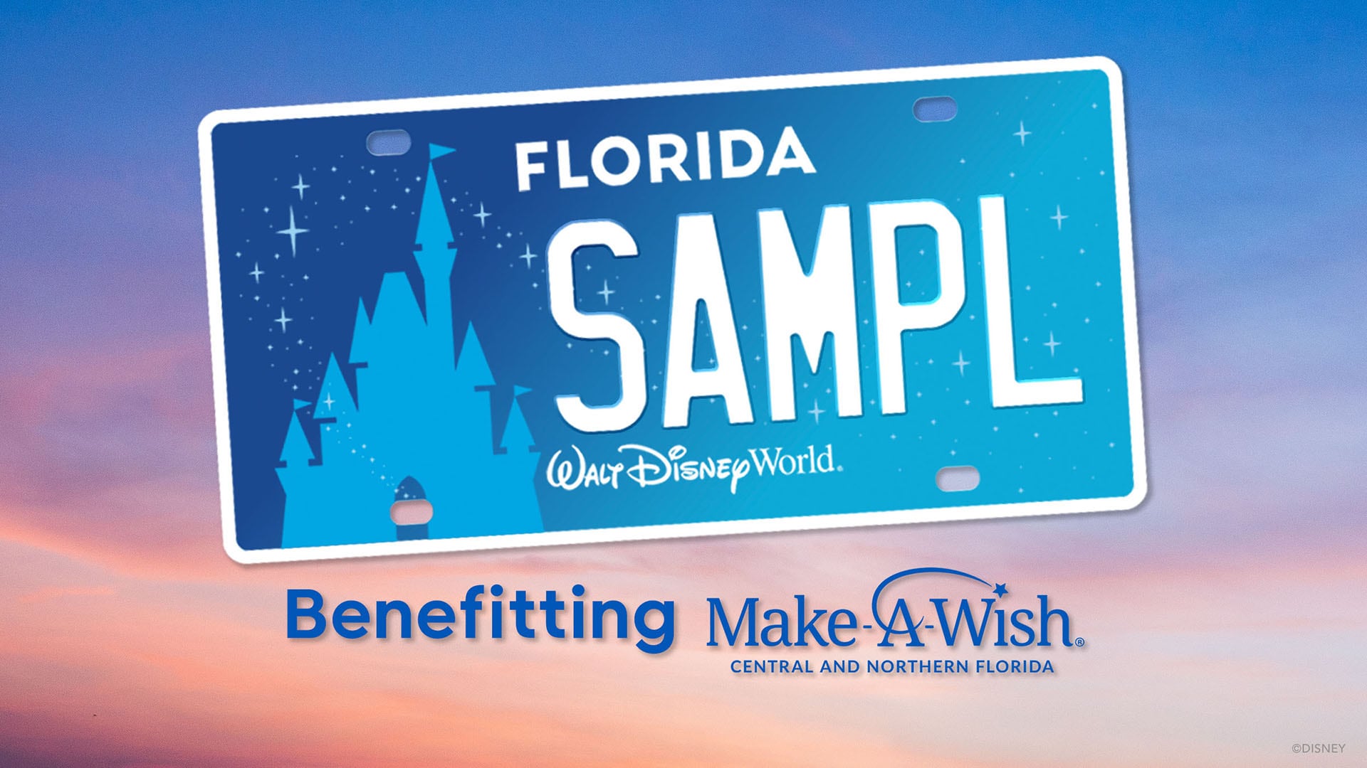 Al igual que en Florida, las placas de circulación temáticas de Disney en California tienen el propósito de recaudar fondos para causas benéficas infantiles
