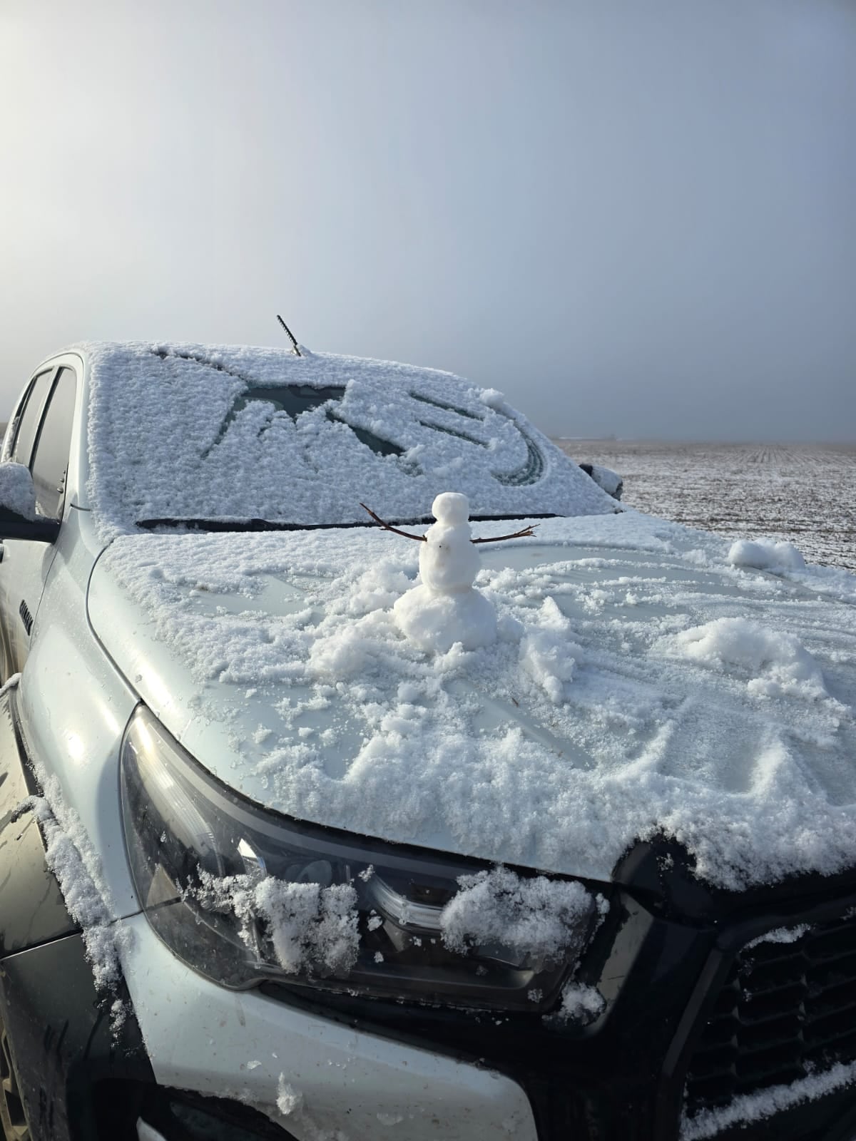 El nivel de nieve que cayó en algunas regiones de la provincia de Buenos Aires