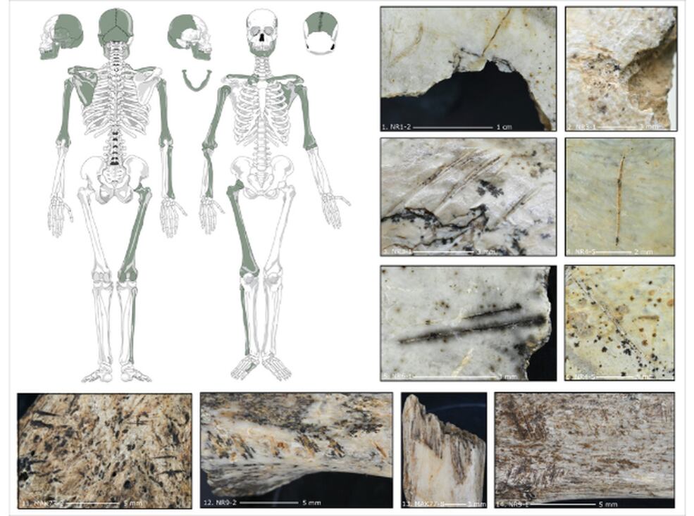 Marcas de canibalismo en restos humanos de hace 18.000 años