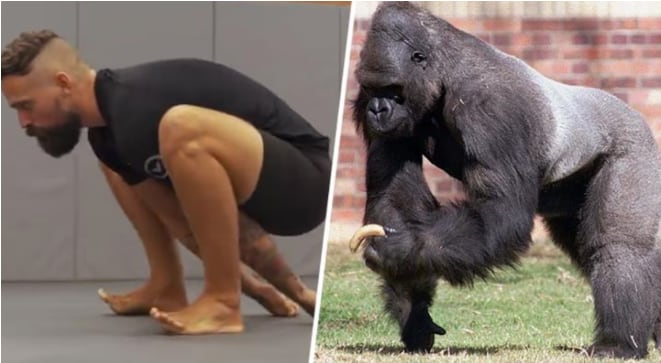 En este tipo de caminata se intenta imitar los movimientos de los primates