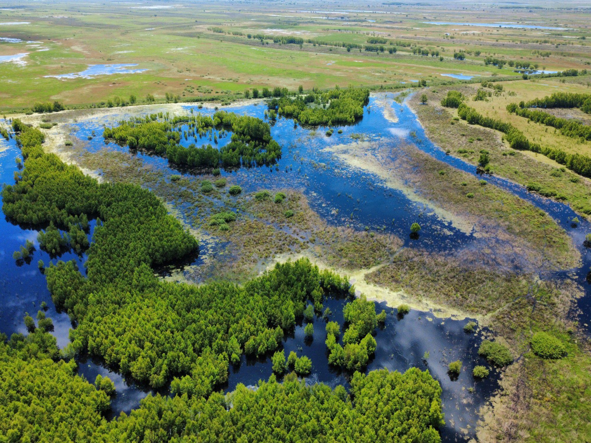 En las islas entrerrianas preocupa la crecida de los ríos