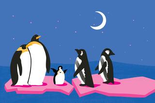 Ocho animales en peligro de extinción y cómo ayudarlos