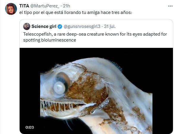 El pez telescopio causó furor entre los usuarios y los memes no tardaron en llegar (Foto: X @martuperez_)