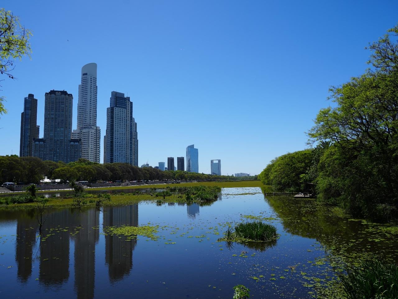 Cumple 40 años: la particular historia detrás del área natural más grande de la ciudad