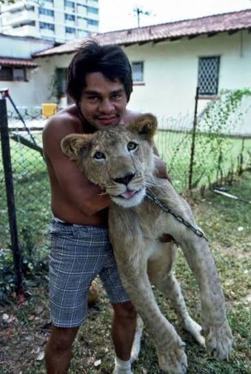 Roberto Durán con su amado león Wala: una de las extravagancias del legendario boxeador panameño