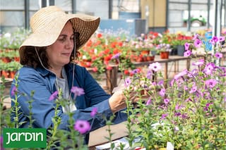 Qué hacen y por qué es tan importante para el mundo de las plantas del jardín