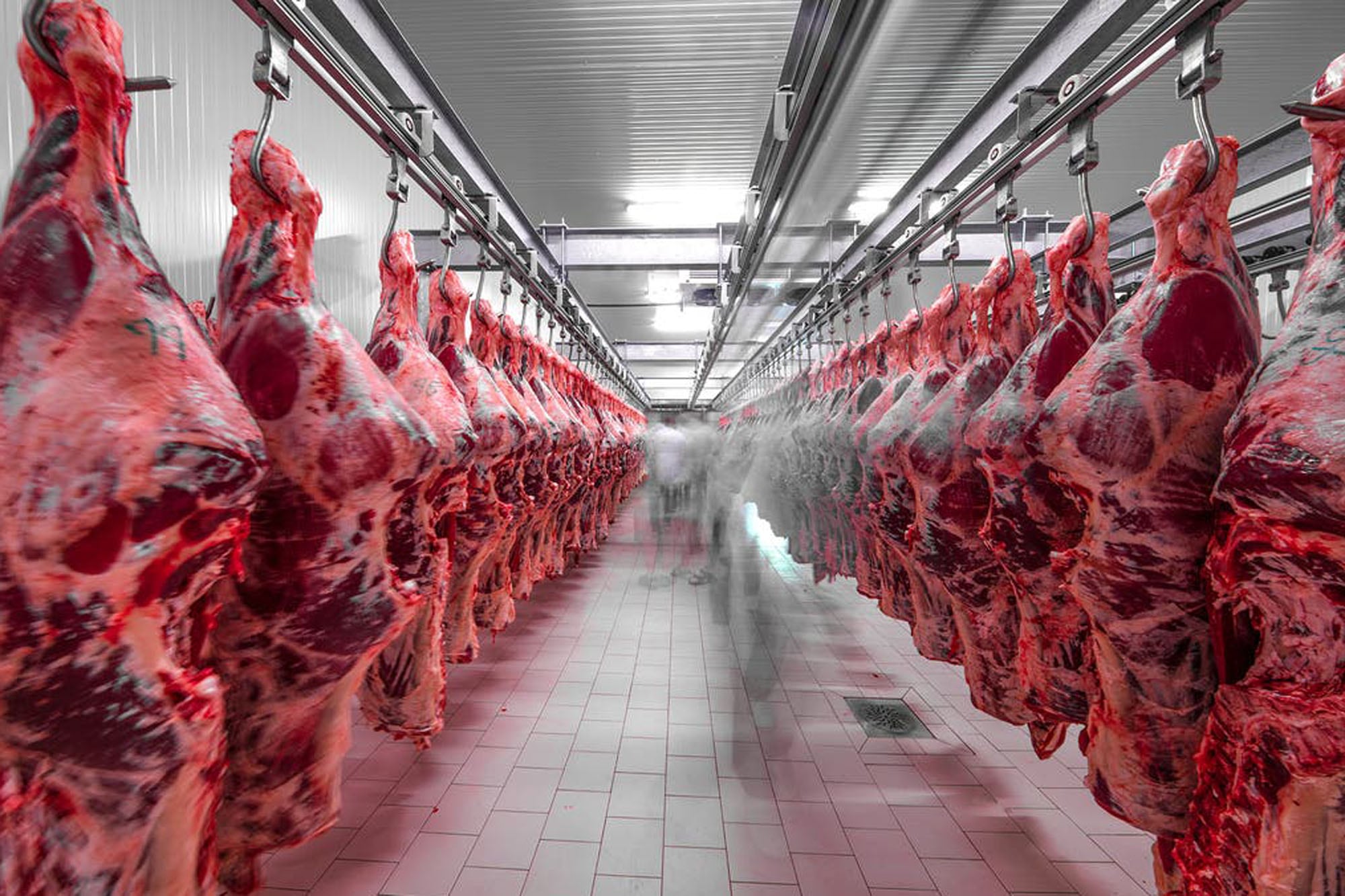 La carne aparece entre las principales oportunidades