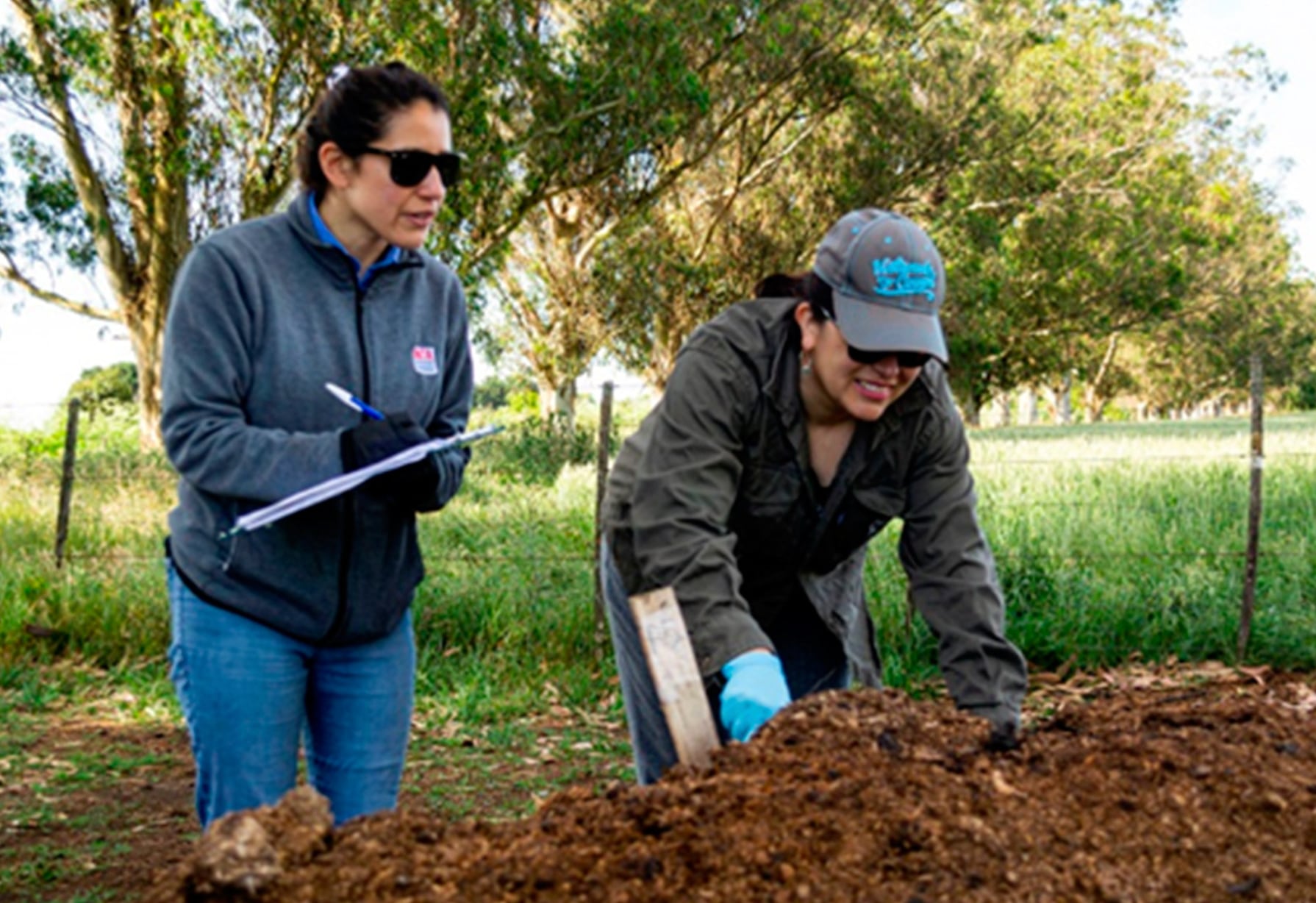 “No recomendables”: detectaron elementos potencialmente tóxicos en compost de cama de pollo