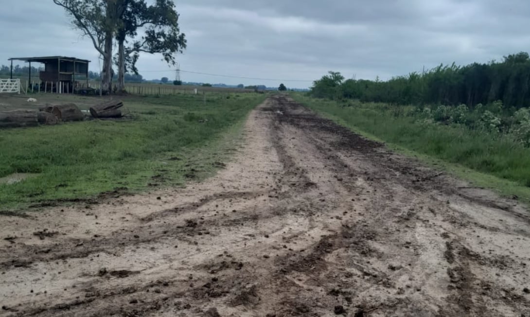 La entidad puso además bajo la lupa los recursos provenientes de la Descentralización Tributaria Rural