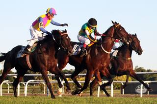 Carlos Pellegrini: Il Mercato, con Noriega, ganó por la cabeza ante Sixties Song
