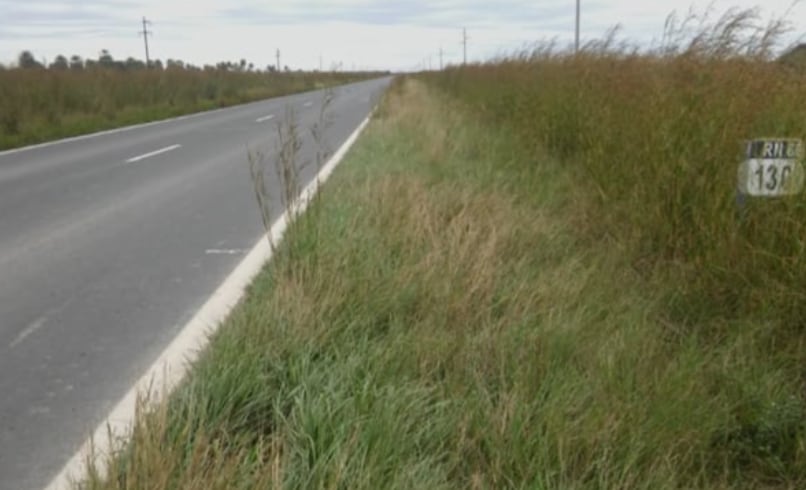 “Al mejor postor”: un municipio bonaerense licita la siembra de banquinas y busca generar fondos