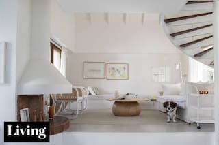 Una alternativa de decoración de bajo costo y mantenimiento que vuelve con fuerza