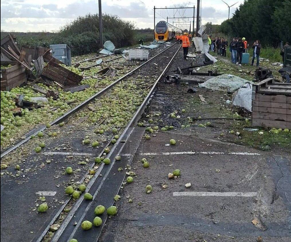 Las vías del tren llena de peras luego del accidente