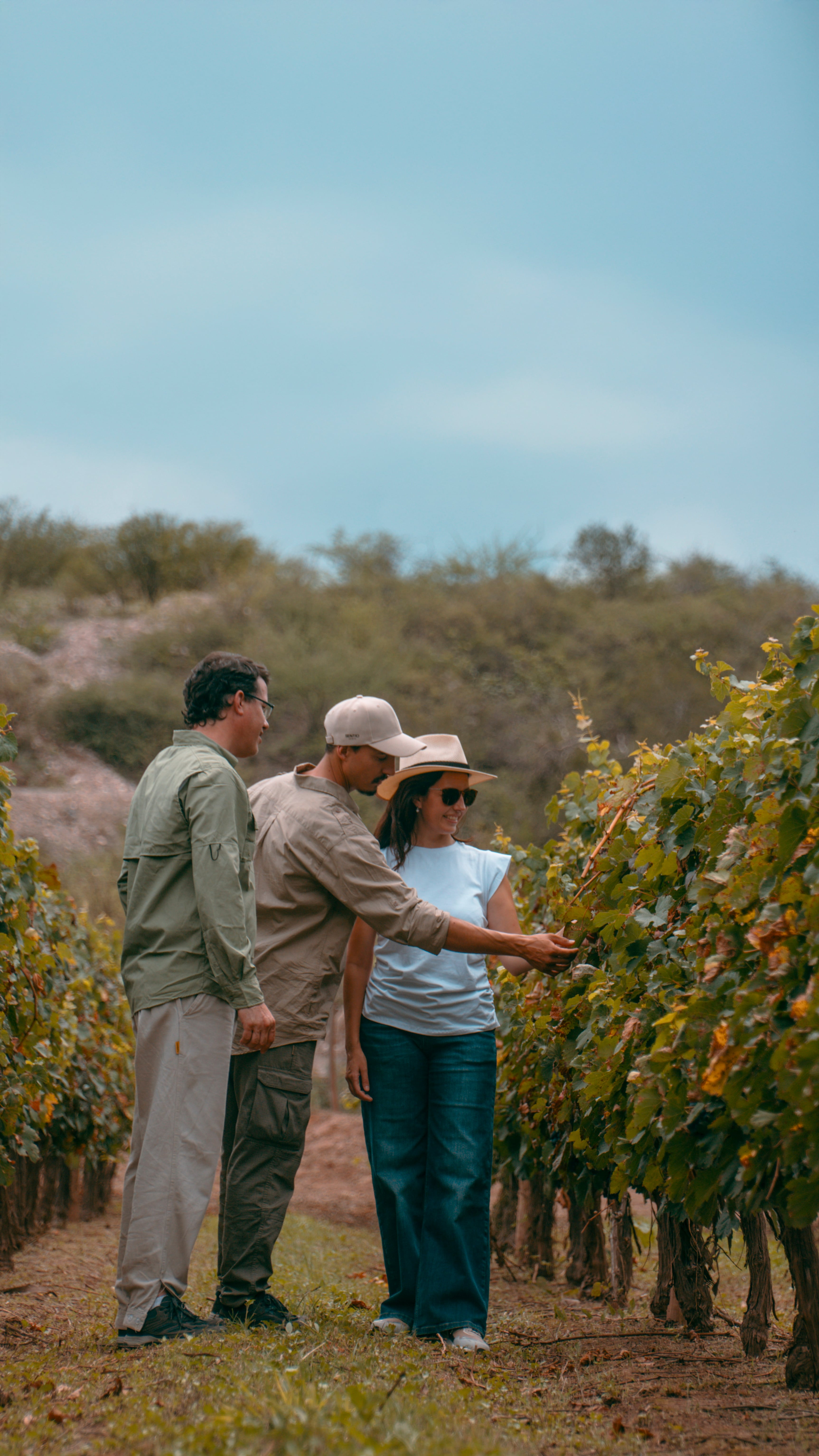 La finca Valle del Cóndor cuenta con el viñedo más cercano a Salta en la Ruta del Vino y el único de la zona que funciona 100% con energía solar.