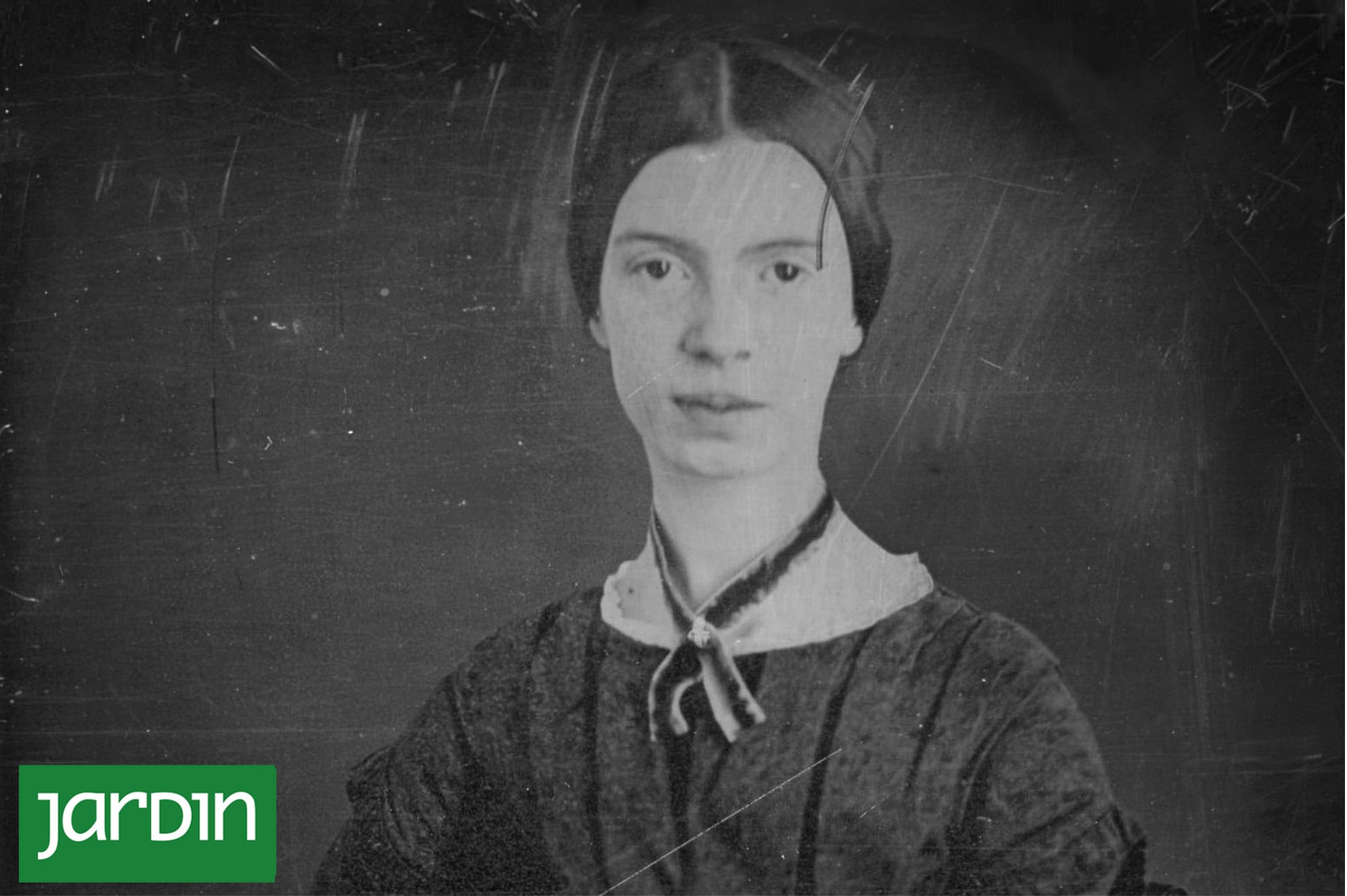 El herbario de Emily Dickinson, disponible 180 años después de su creación