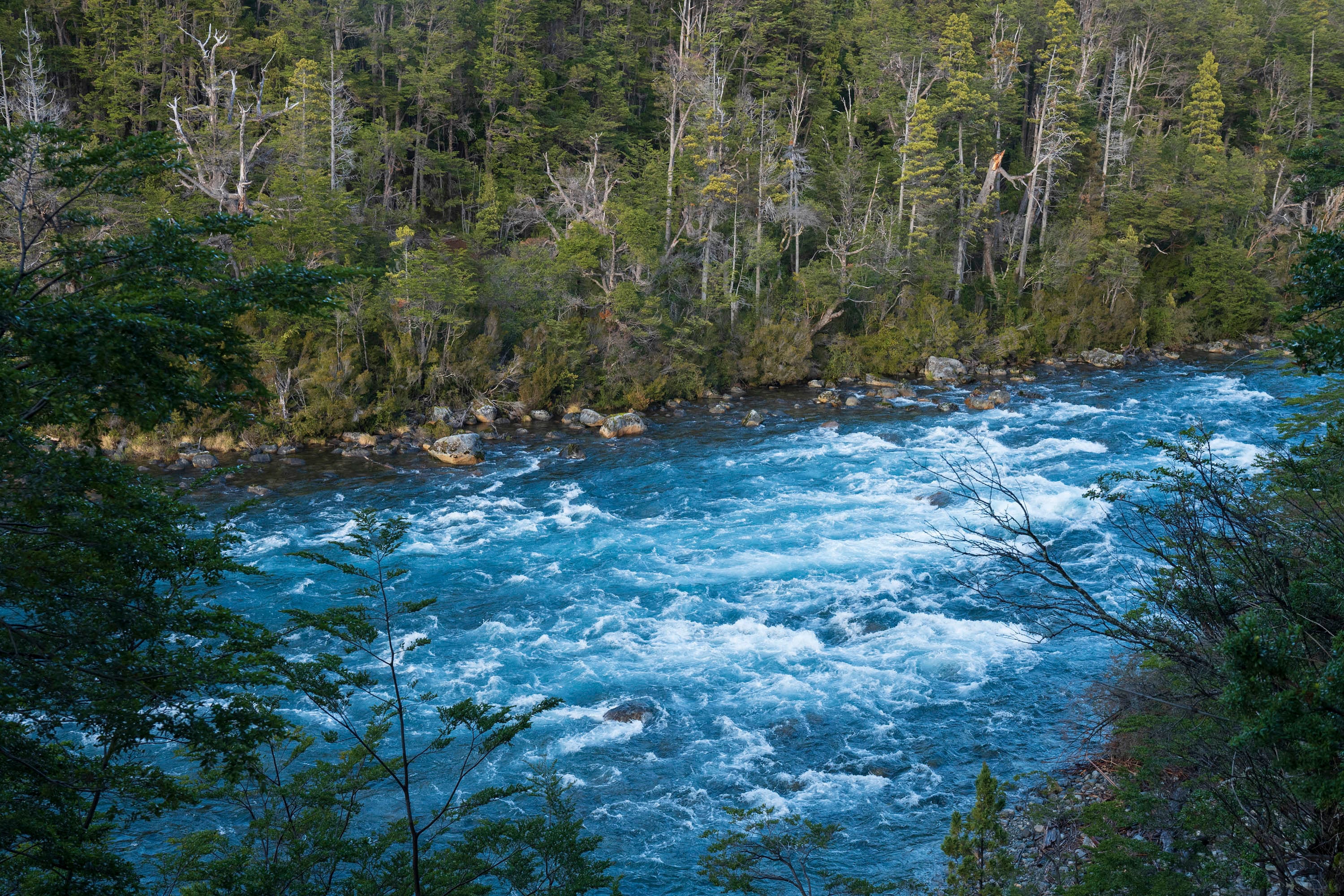 Parque Nacional Los Alerces