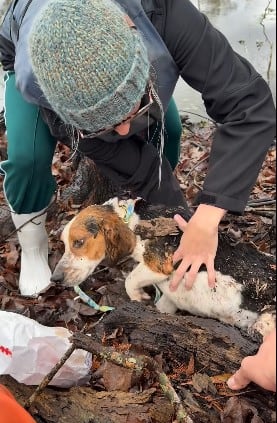 Herido de bala, se escondió en el tronco podrido de un pantano hasta que llegó la ayuda: “Cuando rompí la madera, me impresionó su estado”