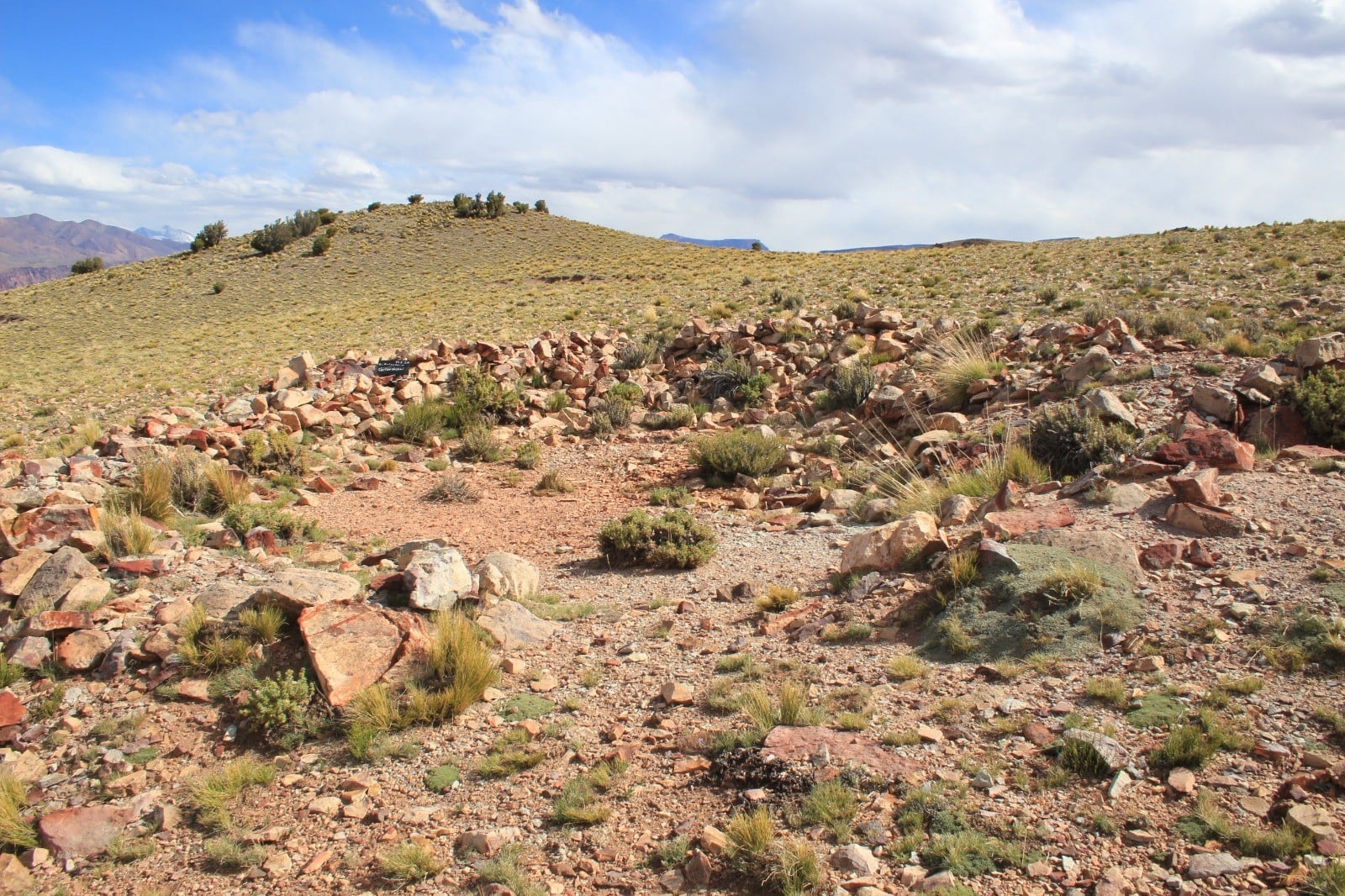 Investigadores argentinos y extranjeros llegarán al geoglifo para tomar muestras y estudiar un