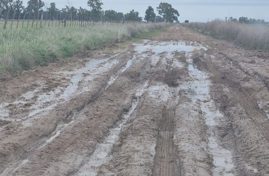 Un camino rural en Carlos Casares