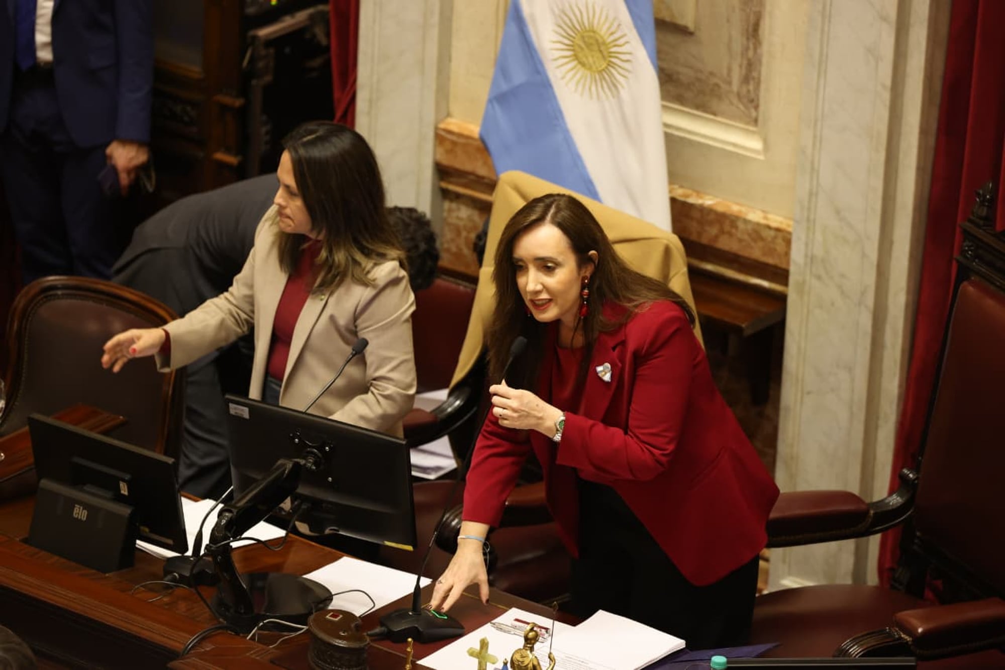 Villarruel durante la sesión en la Cámara alta