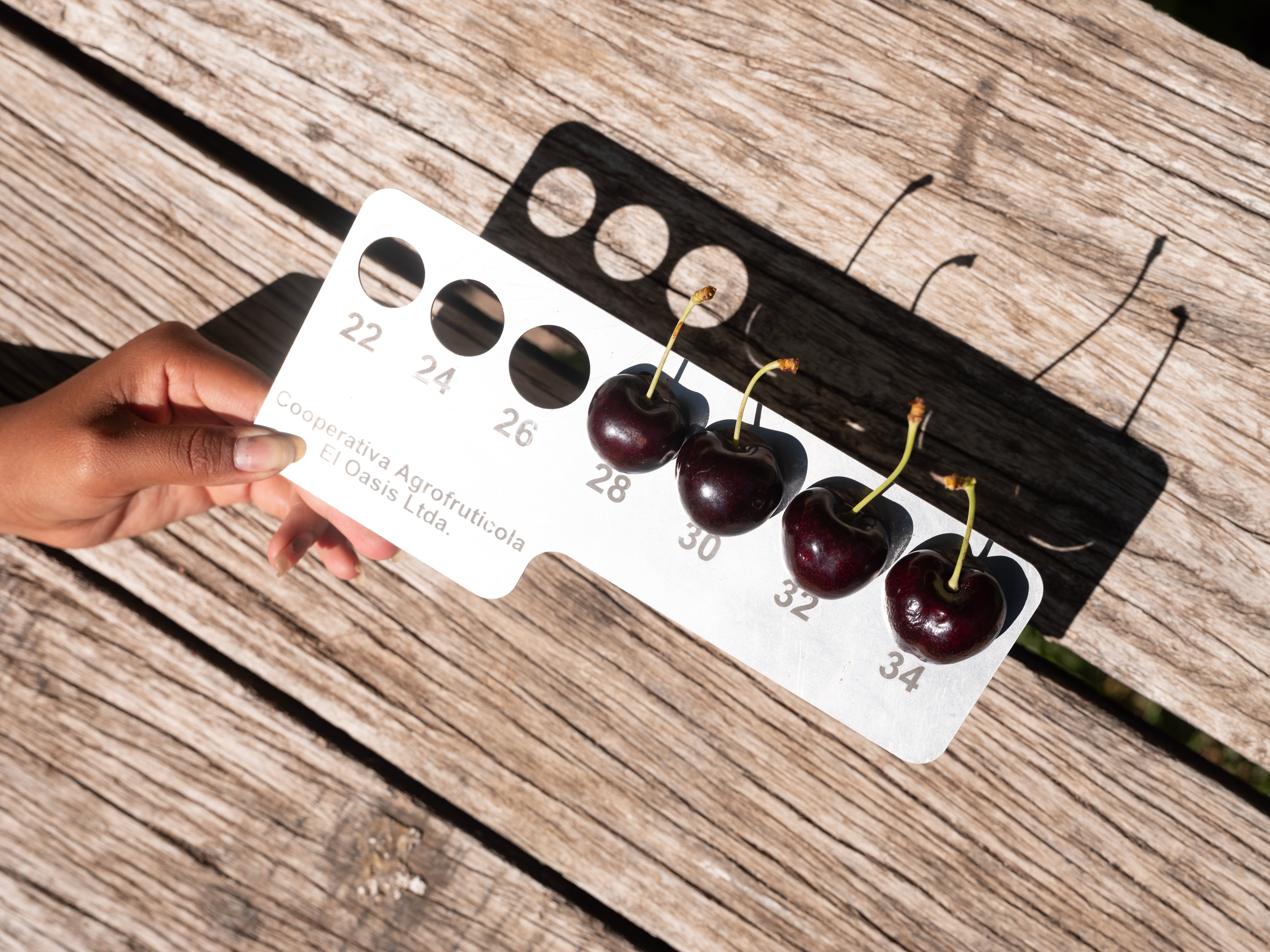 El calibre de las cerezas sirve para catalogarlas.