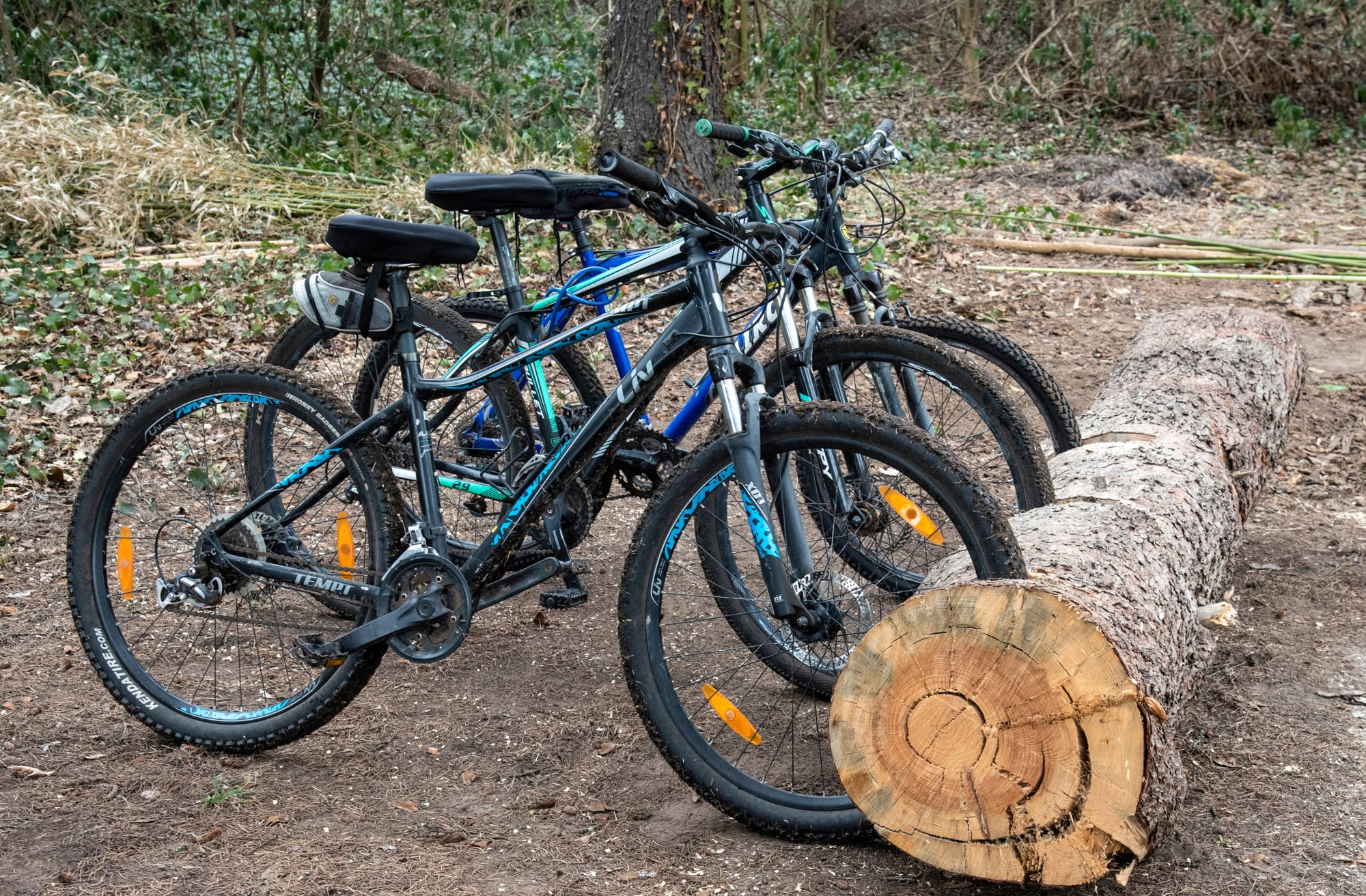 Nada más sencillo que dar nueva vida a los árboles que se caen. Hay muchas opciones, como este bicicletero