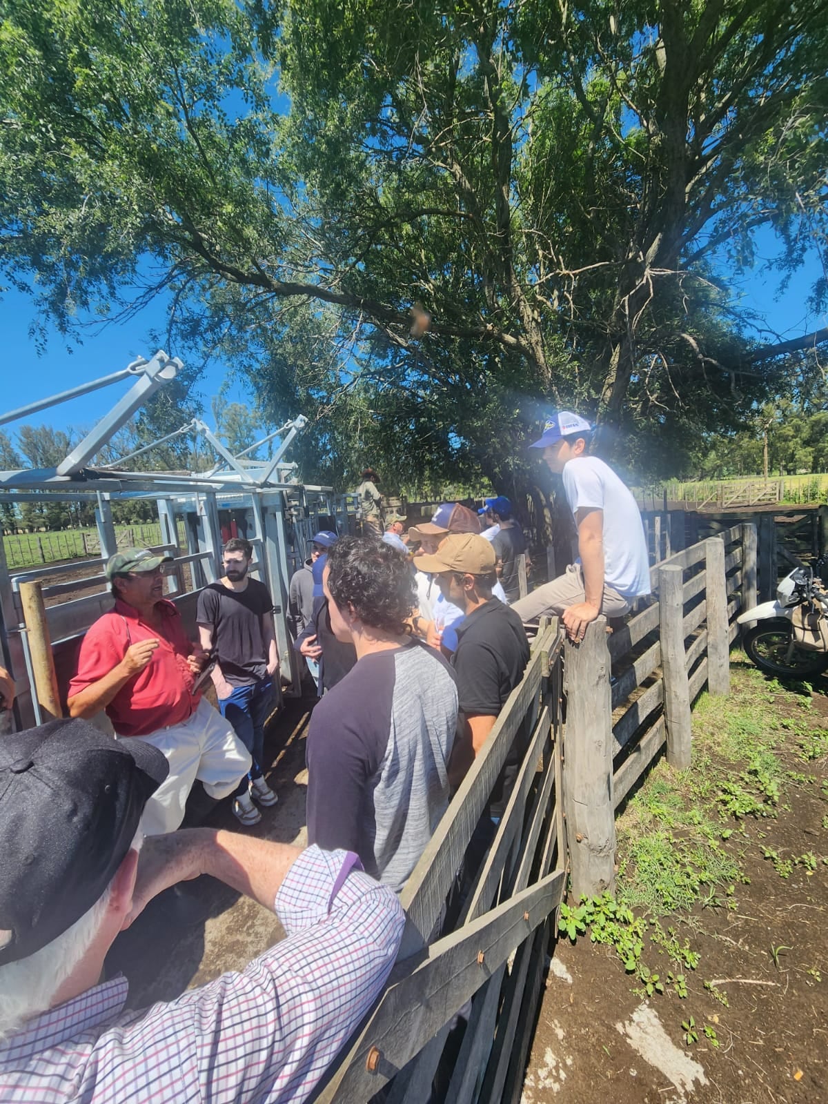 Estudiantes del ITBA a campo