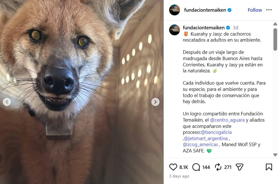 El comunicado oficial de Temaiken