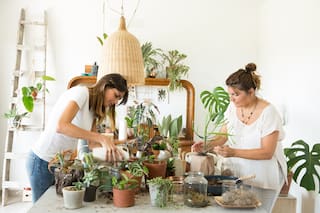 Negocio. Compartían consejos sobre plantas; hoy dan cursos y publican libros