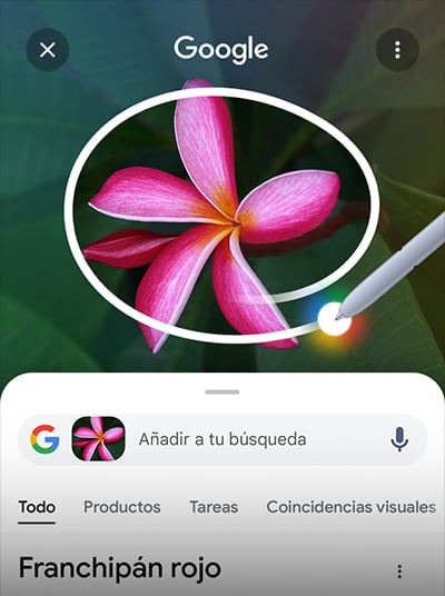 Samsung vs. Apple: revelan las fechas de lanzamiento del Galaxy S26 Ultra y el iPhone 17e en 2026 6 La familia Galaxy S26 tendrá tres smartphones y se lanzará en febrero de 2026 (Samsung)