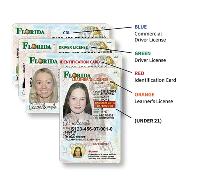 Los cuatro encabezados de las nuevas licencias e identificaciones en Florida