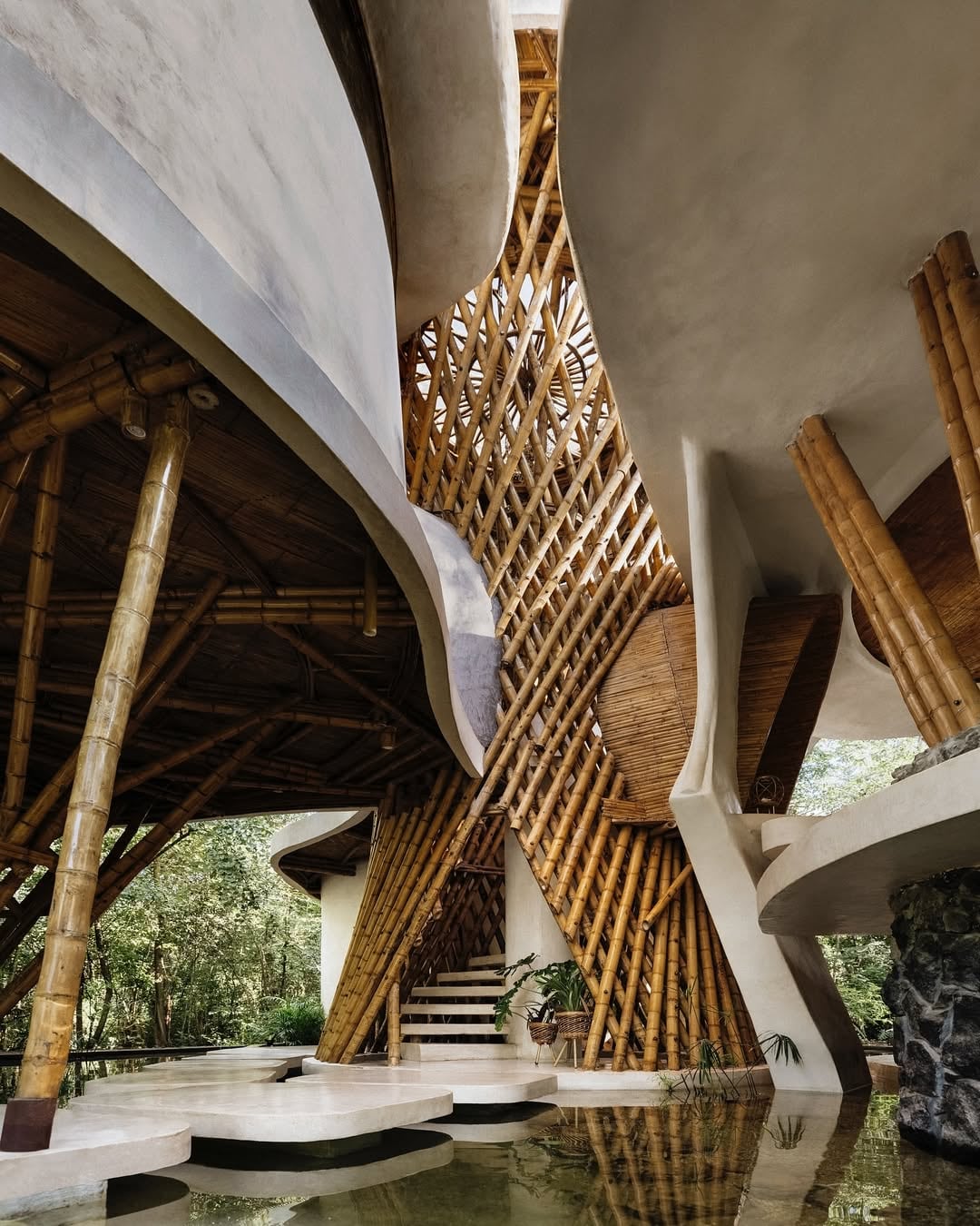 Los suelos se curvan hacia arriba formando amplios muros, mientras que el techo flota sobre el dosel