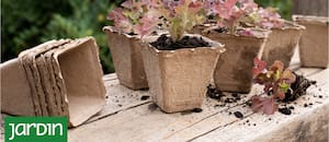 Macetas, tutores y sustratos que podés cambiar para plantar sin contaminar