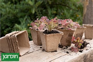 Macetas, tutores y sustratos que podés cambiar para plantar sin contaminar