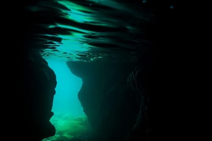 A 40 metros bajo la superficie, la luz empieza a escasear.