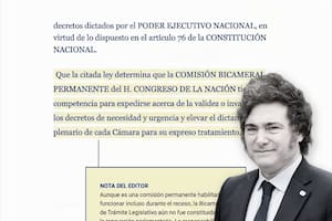 Detenciones sin juez, el nuevo rol para las FFAA y el secreto como regla