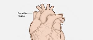 Así de lastimado terminó el cuerpo de Diego Armando Maradona