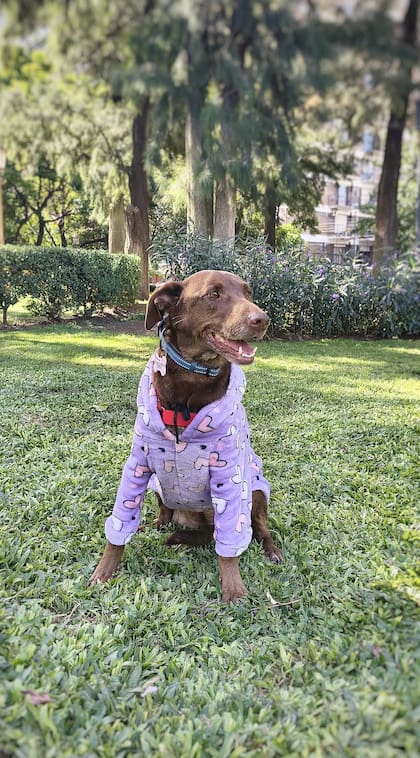 A Almendra le tomó unos minutos entender lo que estaba sucediendo.