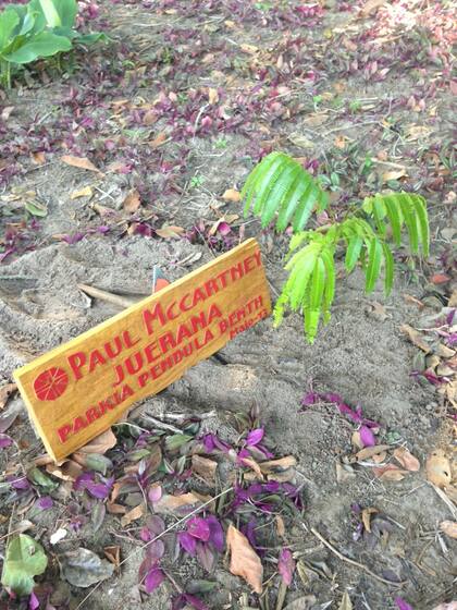 A beautiful example for the future generation. Sir Paul McCartney plant a tree in Txai Resort Itacare - Bahia - Brazil. (PRNewsFoto/Txai Resort Itacare)