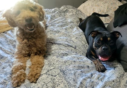 A Blair le encanta estar calentita, seca y no sentirse sola.