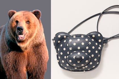 El contorno de la cara de un oso en una bandolera