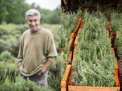 A Carlos Giri lo consultan especialistas del INTA y expertos franceses.