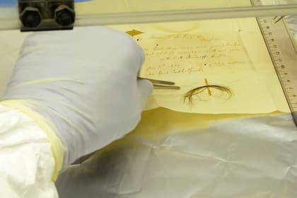 A casi 200 años de la muerte de Beethoven, los investigadores extrajeron ADN del cabello de compositor y encontraron pistas sobre las razones de la enfermedad que pudo haberlo matado