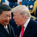 En 2025 China marcó un récord de importaciones de soja y desplazó a Estados Unidos en favor de Sudamérica