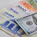 ¿A cuánto cotizan el dólar blue y el oficial este lunes 23 de febrero?