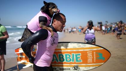 Como recompensa, el surfista lleva a su perro a cuestas