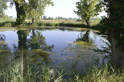 A dos kilómetros de Bevagna se encuentra el lago Aiso: un ojo de agua de 22 metros de diámetro.